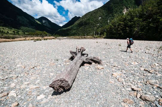 Woman walking down the Leslie Karamea River near Trevor Carter Hut, Kahurangi National Park, New Zealand.