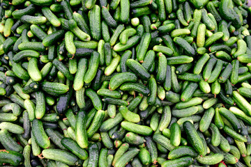 Full frame view of raw organic Turkish mini cucumbers, in a farmers produce market, Istanbul, Turkey
