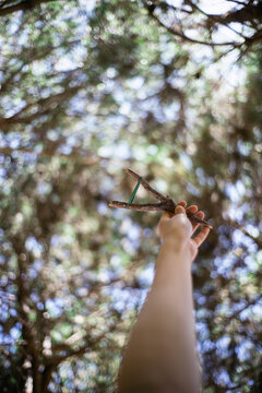 Slingshot