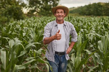 Mature farmer gesturing thumb up © kegfire