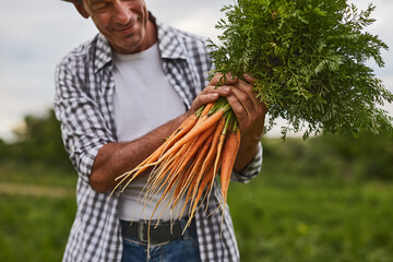 Happy farmer with bunch of carrots