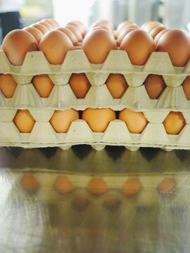 Eggs in a box.