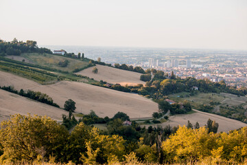 Panoramic view of Bologna from Bolognese hills. The city in background with rural fields and wheat in close up. Emilia Romagna Region, Italy