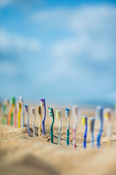 Old Used Colorful Toothbrushes In One Line on a Beach