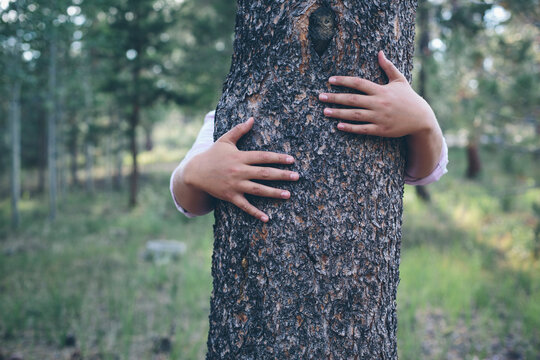 Man hugging tree