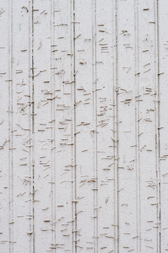 Wood panel wall with thousands of staples.