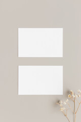 Two white business cards mockup with gypsophila. 85x55mm