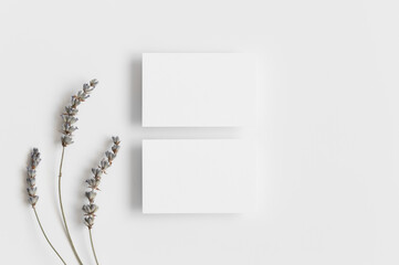 Two white business cards mockup with lavender. 85x55mm