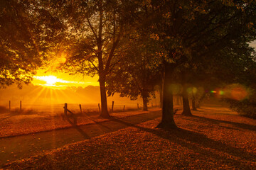 Sommertag im Herbst