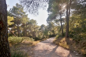 Perimetrale Colle dell'Eremita