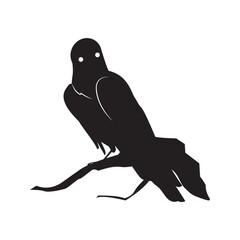 Fototapeta premium silhouette of bird