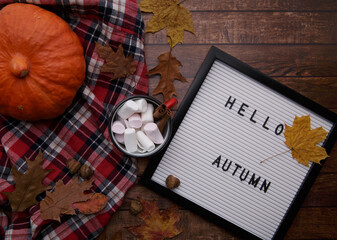 on a wooden table cocoa with marshmallows and a board with the inscription.and also pumpkin red plaid shirt and yellow maple leaves. selective focus 