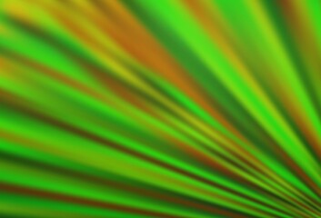 Light Green vector backdrop with long lines.