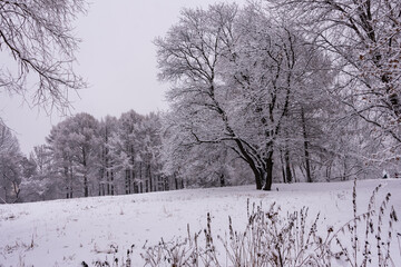 winter, Russian winter