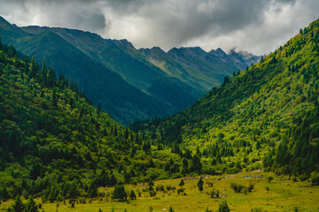 Obraz premium Valley landscape in Tibet, summer time, with forest and grassland on a cloudy day.