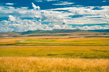 The hill and grassland landscape in Ruoergai Grassland, Sichuan, China, autumn time.