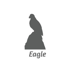 Silhouette of eagle