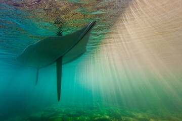 Sail Boat Dinghy Moored Above Rocky Reef With Dramatic Sun Flare