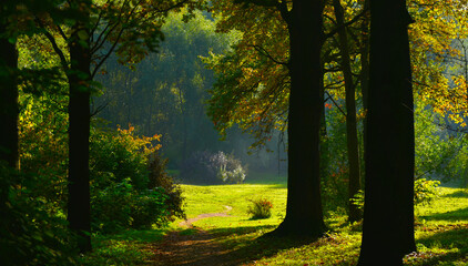 landscape trees in the autumn Park