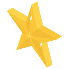 
Isometric icon  design in star 
