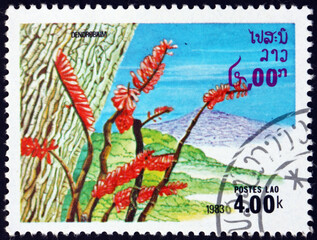 Obraz premium Postage stamp Laos 1983 dendrobium, flowering plant