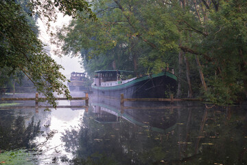 Tranquil, foggy morning at a canal in the Netherlands.