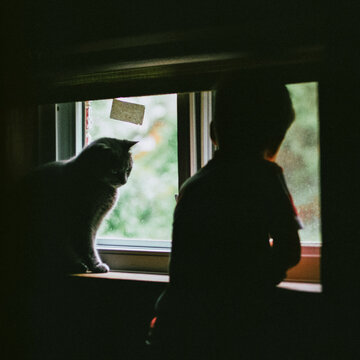Cat and kid watching a rain storm from a basement window