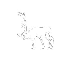 Cute deer by one line