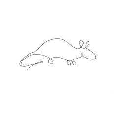Cute rat by one line