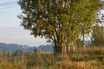 Fototapeta premium autumn landscape, Russia 