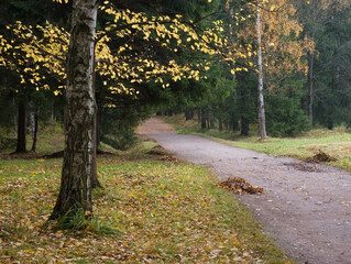 autumn landscape. Russia