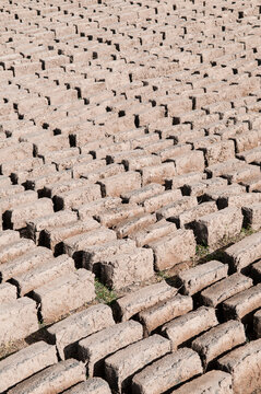 Mud bricks drying in the sun, Saray Tash village, near the border with China and Kyrgyzstan.