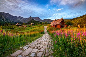 Beautiful summer sunrise in the mountains - Hala Gasienicowa in Poland - Tatras - obrazy, fototapety, plakaty