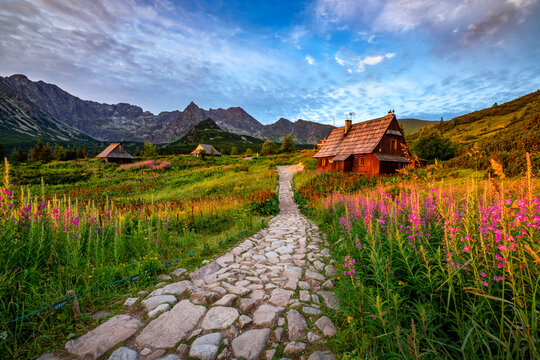 Fototapeta Beautiful summer sunrise in the mountains - Hala Gasienicowa in Poland - Tatras