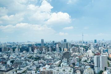 Fototapeta premium 青空を背景に文京区から見た墨田区方面の風景
