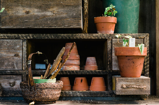 plants and terracotta pots in a potting shed