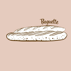 Hand-drawn Baguette bread illustration