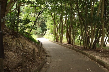 美しい自然の風景