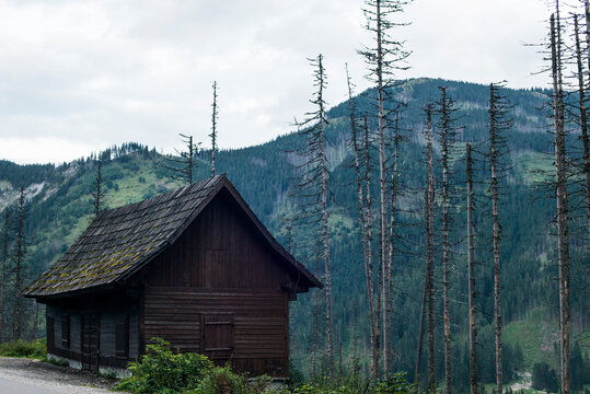 Wooden house