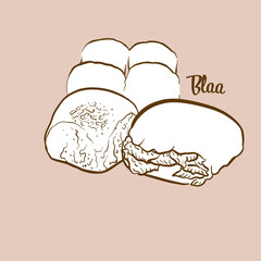 Hand-drawn Blaa bread illustration