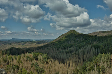 CZESKA SZWAJCARIA. ŁABSKIE GÓRY PIASKOWCOWE