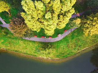 Top down view of lake and alleys in the park. Drone, aerial view