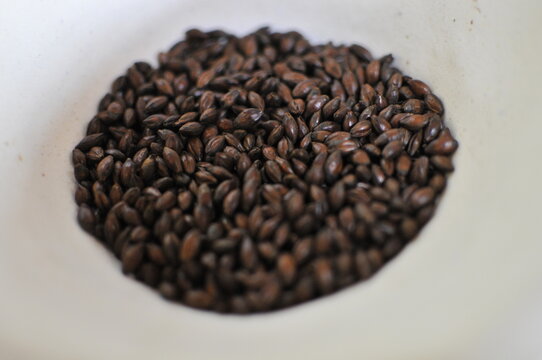 Roasted malt