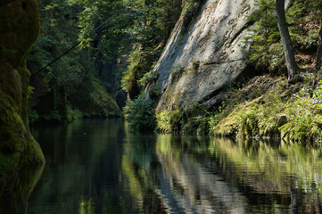 RZEKA W GÓRACH. CZESKA SZWAJCARIA, WĄWÓZ EDMUNDA, REPUBLIKA CZESKA  © michalsen