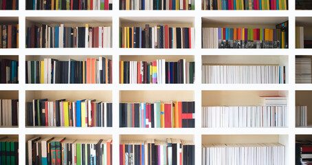 Fototapeta Home library wall. Clean and modern decoration background. Organized neat bookshelf room. obraz