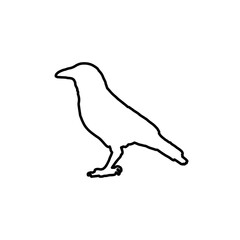 silhouette of a crow. vector flat illustration