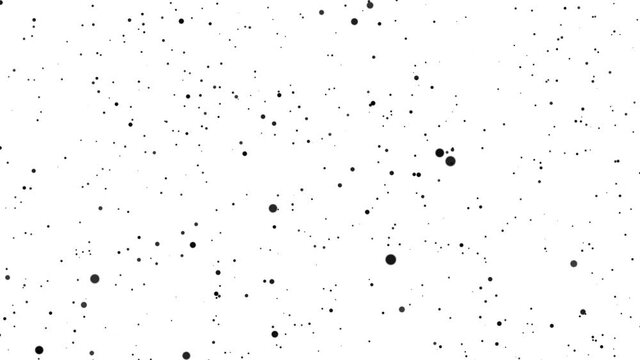 Large and small black particles move chaotically on a white background. Beautiful monochrome bokeh.