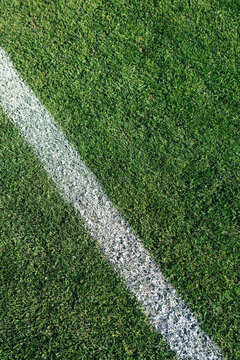 White boundary line on grass