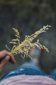 Woman holds a bundle of dried grass