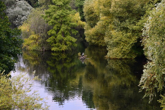 Fennsee, Wilmersdorf, Berlin
